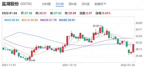 世界级盐湖产业集团，盐湖股份能否掌控未来？