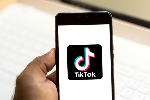 美国 TikTok 资料库起草人的风波：引火烧身？