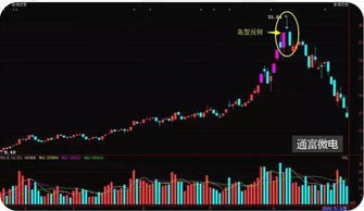 俄远东人口锐减：西进难以填补缺口，核武器成隐秘遮羞布