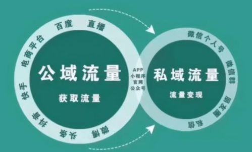 私人定制IP运营策略：如何构建成功的私域流量池？