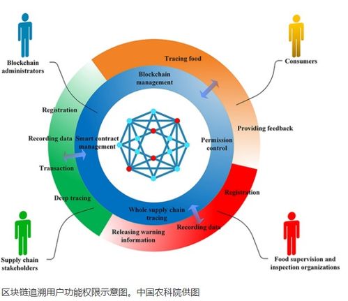 科学家构建理论框架引领社交媒体信息传播：推动集体智能与信息传播发展