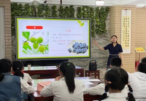 上海交通大学的科研团队探索人工智能在传统蛋白质工程中的应用，解决重大挑战