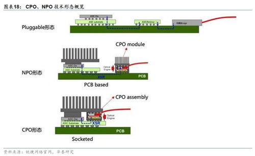 立讯精密董事长回应：800G光模块业务年内有望实现上量