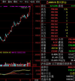 贵州茅台市值重返A股第一：外资为何大量买入背后逻辑揭秘