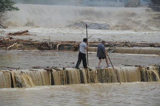 伊朗再现罕见现象：暴雨中大批鱼类神秘出现，原因是什么?