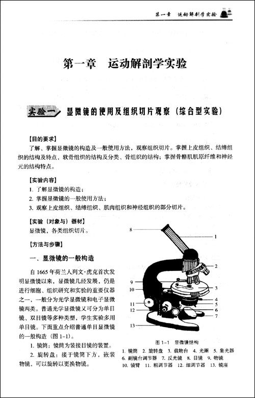 夜跑后为何身体反而变得更差？了解背后的科学原理和应对策略