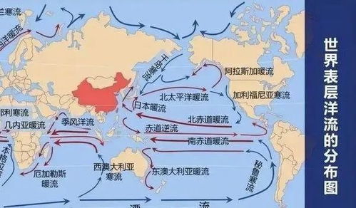 日本排放污水的第五次海排结束：重新评估全球环境安全的影响