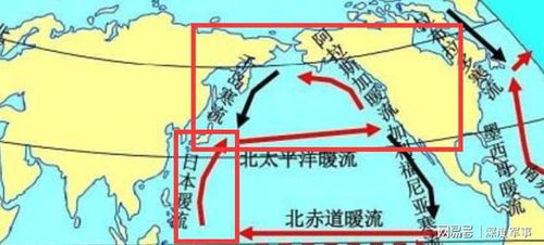 日本排放污水的第五次海排结束：重新评估全球环境安全的影响