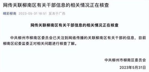 EDG成员涉嫌签证欺诈遭曝光：事件再次引发社会关注