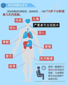 全球范围内爆发诺如病毒，清华校友预警：300多名校友感染！