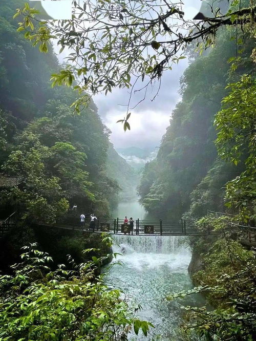 湖北多方合力挺过难关，重新回到赛道上

湖北坚决挺过难关，重新回归产业发展主战场