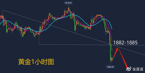 黄金的价格趋势分析：近期的下跌可能引发对市场前景的担忧吗?