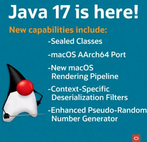 Java 17 成为业界常用的 LTS 版本，JDK 比例持续下降