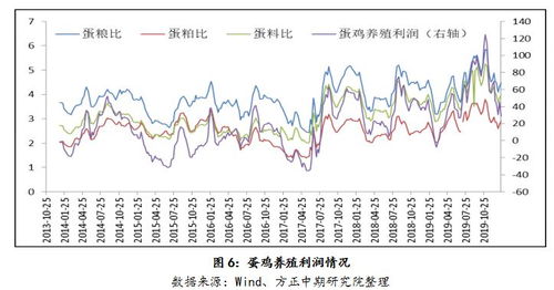 蛋价三年低谷现底价？背后原因揭示：供需关系、饲料成本及运输问题