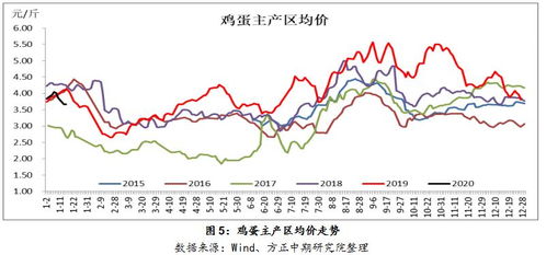 蛋价三年低谷现底价？背后原因揭示：供需关系、饲料成本及运输问题