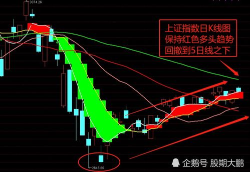 行情反弹中,指数创反弹新高: 关注成长股机会