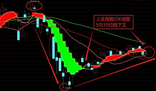 行情反弹中,指数创反弹新高: 关注成长股机会