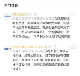 Q4裁员潮袭，TCL科技将聚焦在新技术的研发与应用上，而非8代OLED产线的建设投资