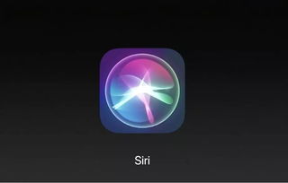 苹果隐藏的AI秘密：打造更强Siri，构建更小高效的模型