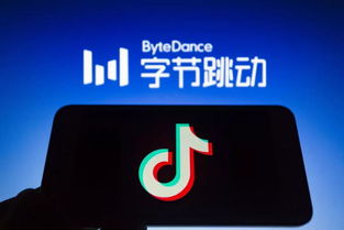 字节跳动等美国公司起诉 TikTok 诉政府试图阻止其在美销售

TikTok起诉美国政府，称他们试图禁止其在美销售
 
美国公司 TikTok状告政府，呼吁阻止其在美国销售产品
 
字节跳动等公司向美国政府提出诉讼，要求阻止其在美国销售产品
 

以上都是一些简洁明了且直接传达信息的标题，可以帮助提高网页的相关性和点击率。