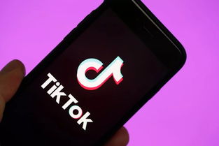 字节跳动等美国公司起诉 TikTok 诉政府试图阻止其在美销售

TikTok起诉美国政府，称他们试图禁止其在美销售
 
美国公司 TikTok状告政府，呼吁阻止其在美国销售产品
 
字节跳动等公司向美国政府提出诉讼，要求阻止其在美国销售产品
 

以上都是一些简洁明了且直接传达信息的标题，可以帮助提高网页的相关性和点击率。