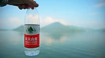 农夫山泉重回纯净水赛道：娃哈哈的挑战与反击