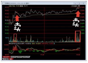 5月8日午间股票涨跌趋势剖析：揭秘上涨背后原因