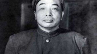 1947年，国民政府军队将领投诚，毛总亲切接见：成为彭老总的副司令员!