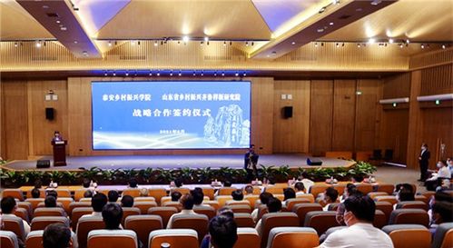 郑州大学揭示：衰老样巨噬细胞在腰痛中的重要作用

研究团队挖掘隐藏在腰痛背后的衰老样巨噬细胞秘密