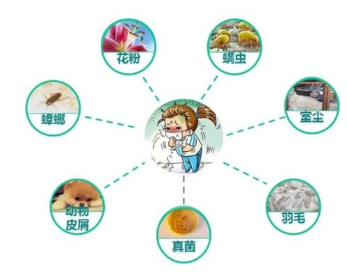 掌控哮喘风险：应对日常生活中的7个重要环节，避免触发因素