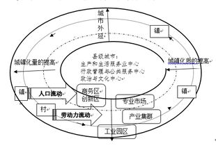 城市化进程中的高尿酸血症风险：原因与影响