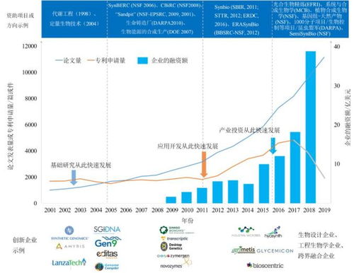 前瞻全球经济增长趋势，理解合成功能与历史重演的逻辑？