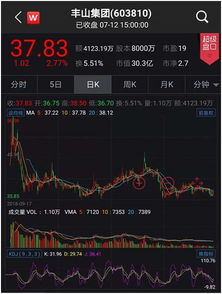 ST美尚：A股首低价股的末日到来，连发九年财务造假被揭露