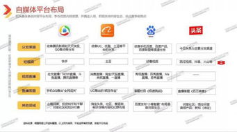 阿里有望复制百度的崛起之路：走向下一个巨头