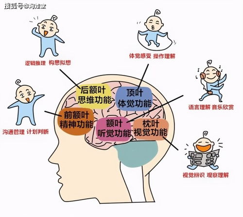 哈佛学者揭示：适时午睡能延缓大脑衰老，但需适度把握时长