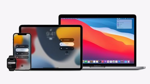 iOS 15首次升级：AI是否有望扭转iPad销量下滑的局面？