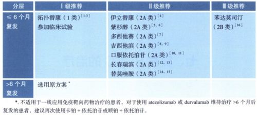 晚期肺癌治疗方法：全面解析与选择指南