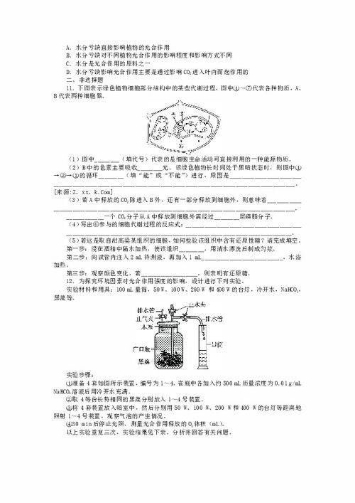 中塞关系实现突破性进展，达成28项合作文件协议