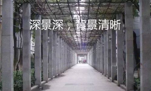 《霑化铭功集》的研究与考论：网络信息时代的必备知识