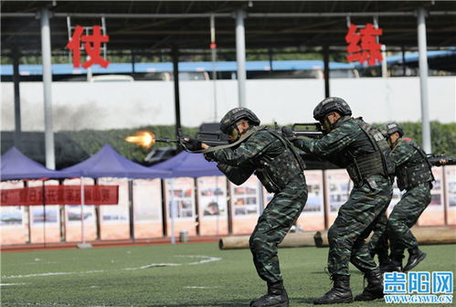 武警河池支队开展军营开放日活动，打造互动体验式学习新平台