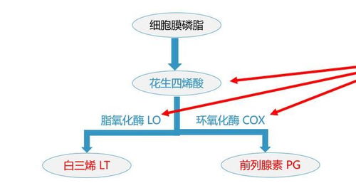 正确使用处方分析:【处方分析】双氯芬酸钠缓释片对咽喉痛的治疗效果如何?