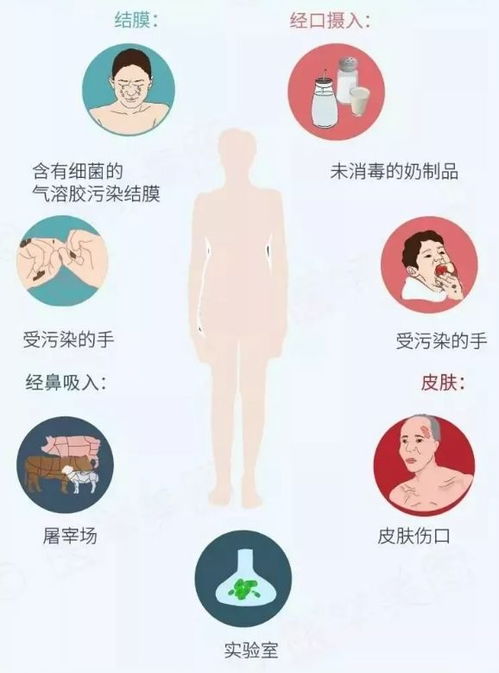 立夏后谨防儿童高热与流口水病症：一项全面指南