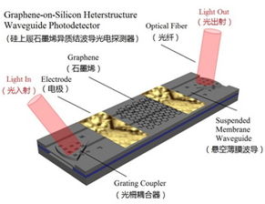 科学家发明：纯硅可用于打造高效能量子计算器