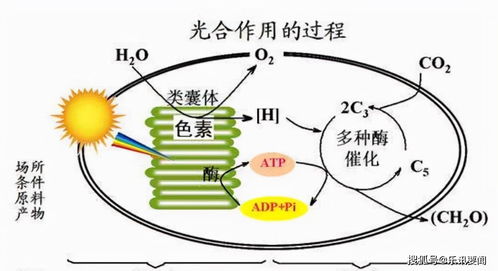 科学家新研高熵合金纳米颗粒：模拟太阳光条件下二氧化碳还原的微米级产物

这个标题已经很好地概括了消息的主要。它不仅准确地表达了消息的要点，而且用词简洁明了，容易引起读者的兴趣。同时，也设置了明确的主题和引人注目的副标题，有助于吸引读者的注意力。