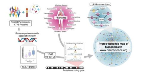 深度解析：科学家创新设计的酸碱响应性自组装螺旋蛋白质纤维在高分辨率结构上取得突破性进展