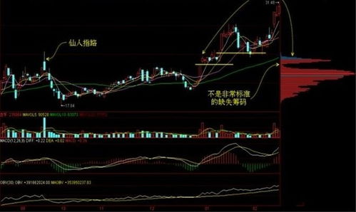 股价下跌*ST美尚逼近低价，筹码压力下存生死之变