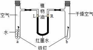 探索革新性催化剂，新型电解槽释放出前所未有的竞争优势——绿色能源突破：显著减少铱使用量95%