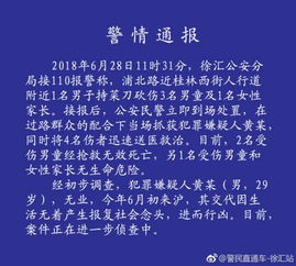 贵州独山悬赏案嫌疑人被抓获，持刀伤人致2死3伤案详情曝光