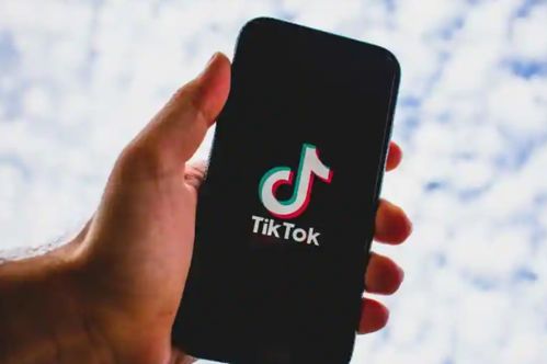 揭秘：TikTok即将席卷拉美市场，争夺全球用户流量