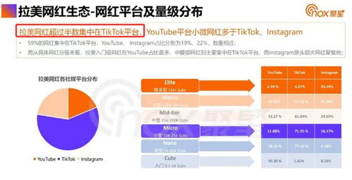 揭秘：TikTok即将席卷拉美市场，争夺全球用户流量